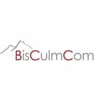 Bisculmcom_Logo_Signet-Berg_ohne_Wortmarke_CMYK-RGB